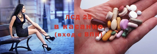 прущие грибы Михайловск
