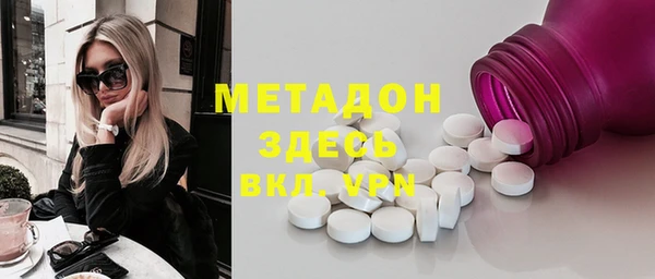 прущие грибы Михайловск