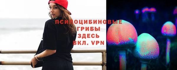 крисы Михайлов