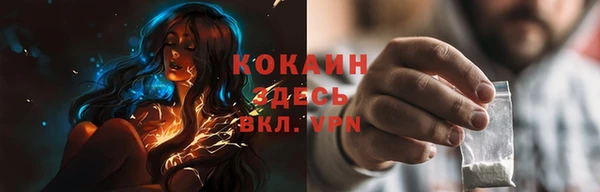 прущие грибы Михайловск