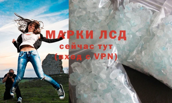 прущие грибы Михайловск