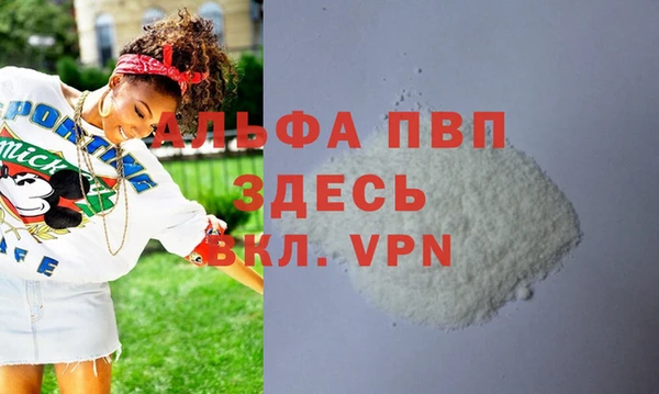 прущие грибы Михайловск